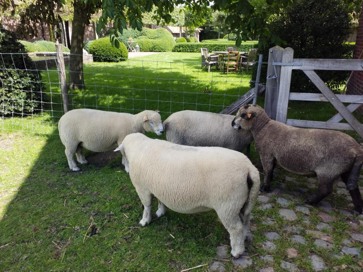 B&B De Hulst Izegem Luaran gambar