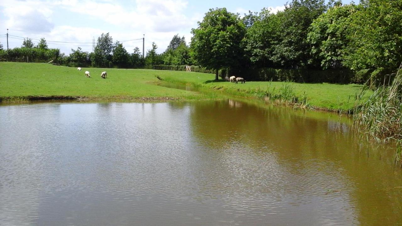 B&B De Hulst Izegem Luaran gambar