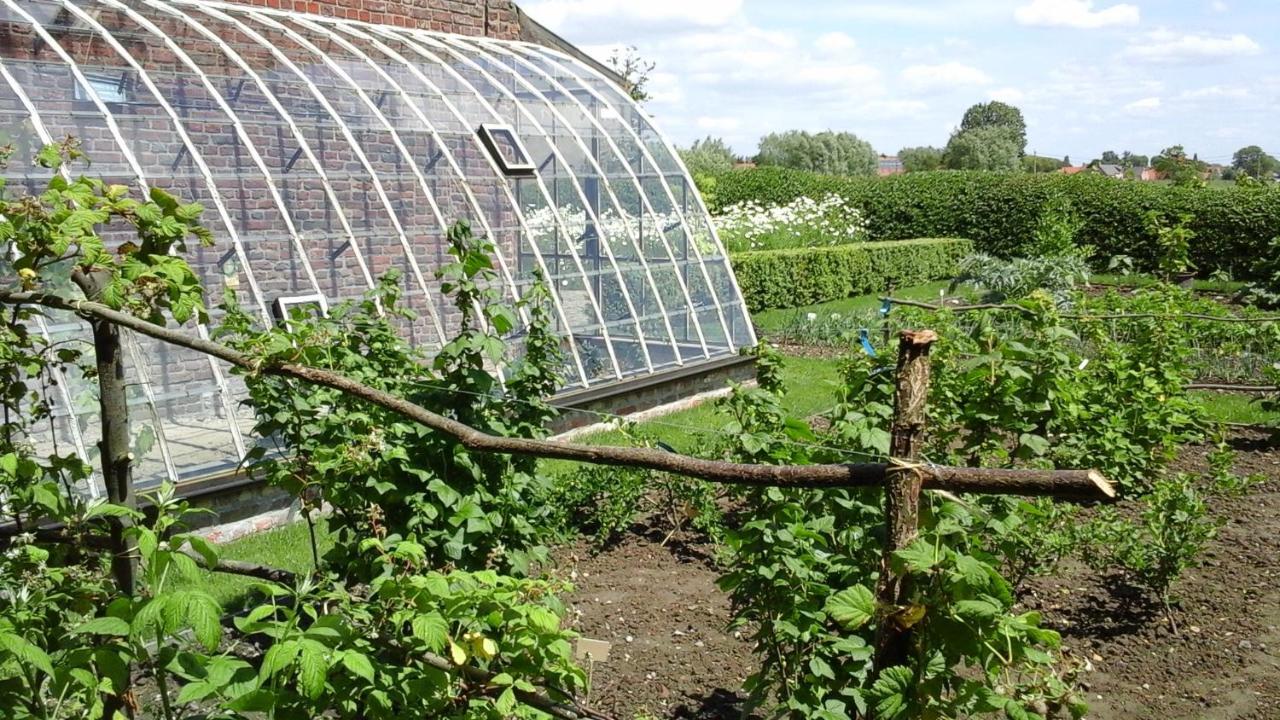B&B De Hulst Izegem Luaran gambar
