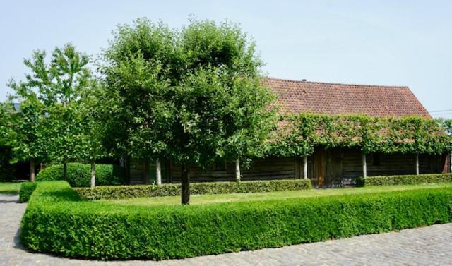 B&B De Hulst Izegem Luaran gambar